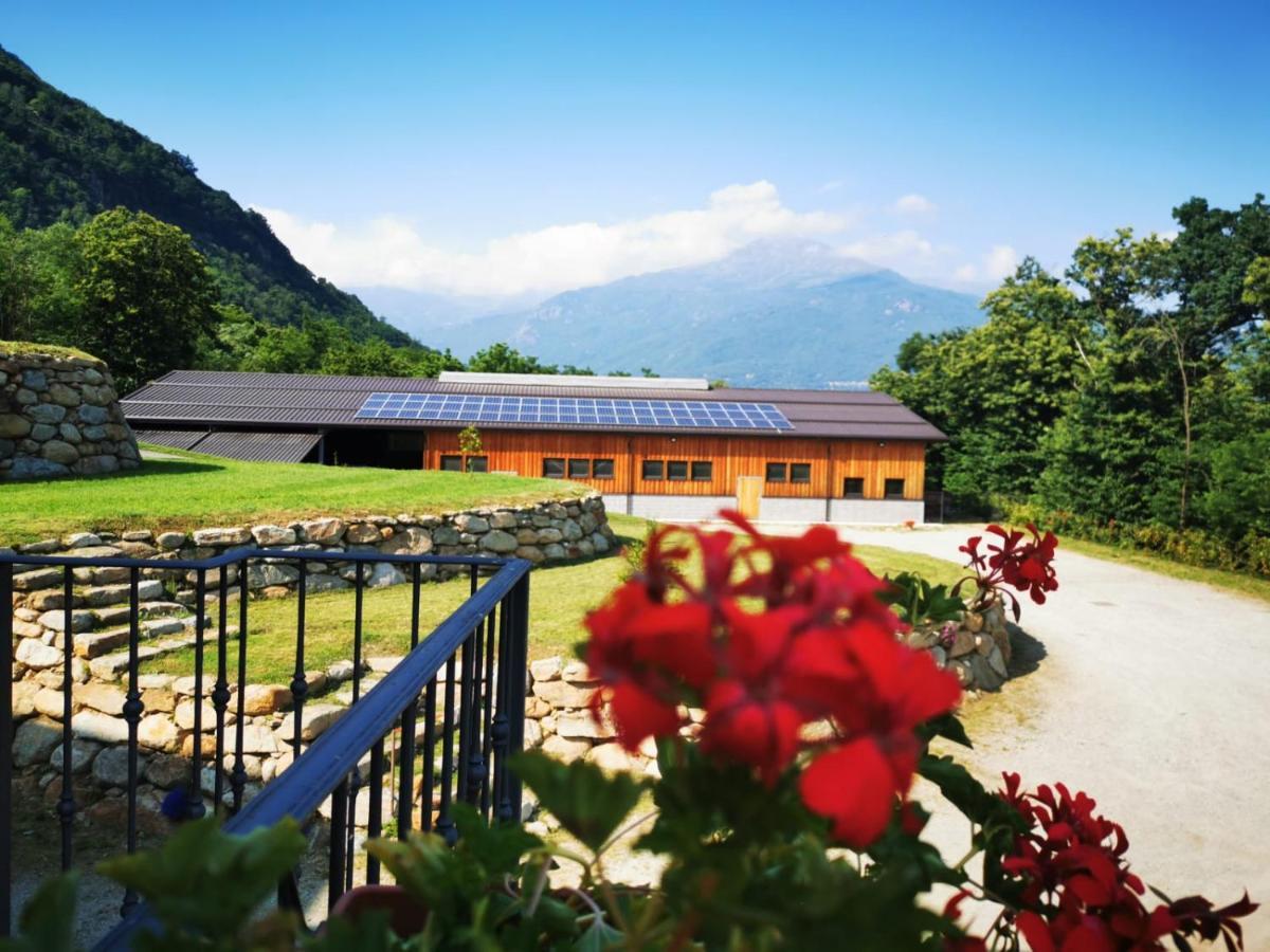 Agriturismo La Ca' D'Amelio Lessolo Exterior foto